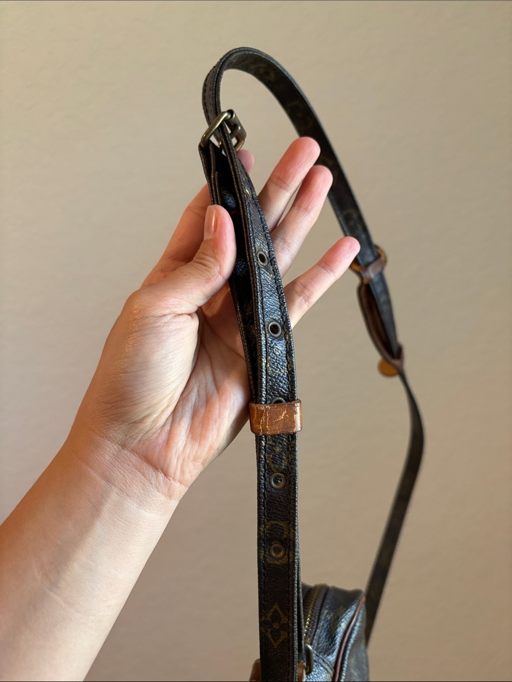 Sold Louis Vuitton Danube Mini Brown Monogram LV Crossbody Bag - Picture 13 of 14